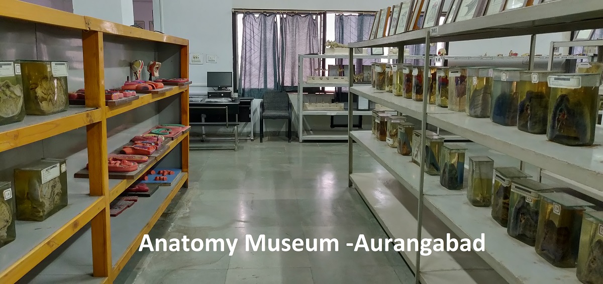 Anatomy Museum -Aurangabad